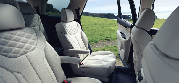 Our most premium PALISADE.